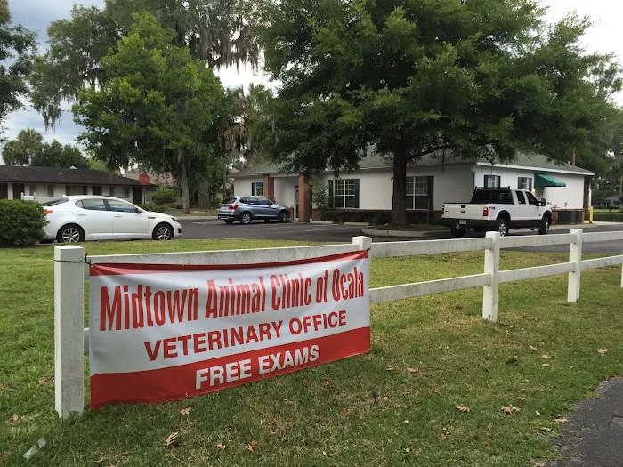 Midtown Animal Clinic 12