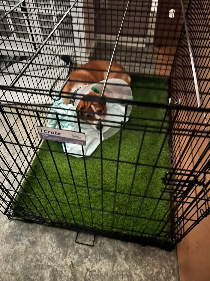 Paw Prints Veterinary Clinic 5