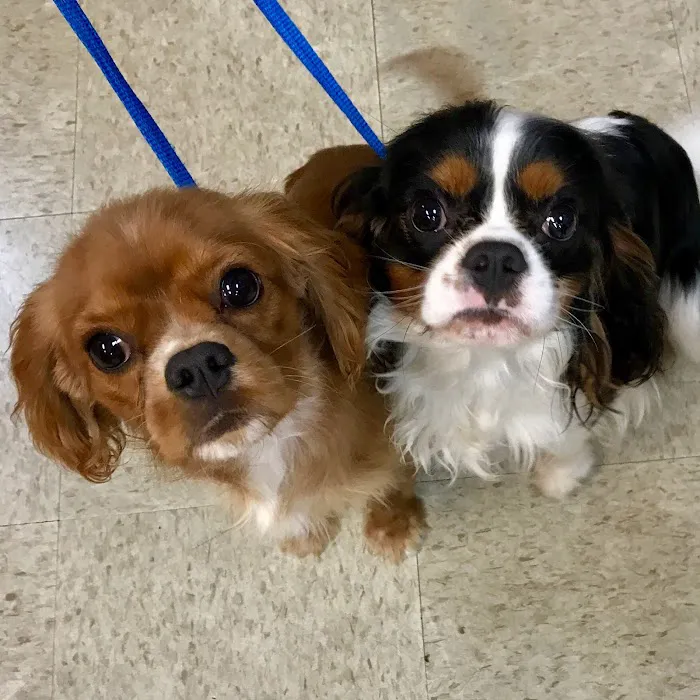 Marion Veterinary Hospital 12