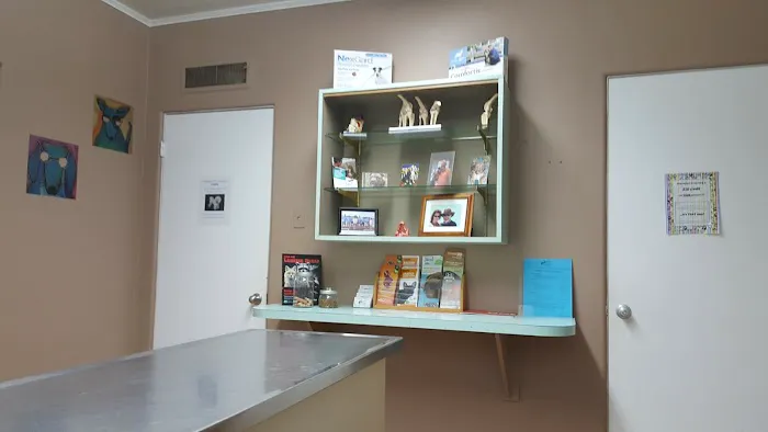 Magnolia Animal Hospital 12