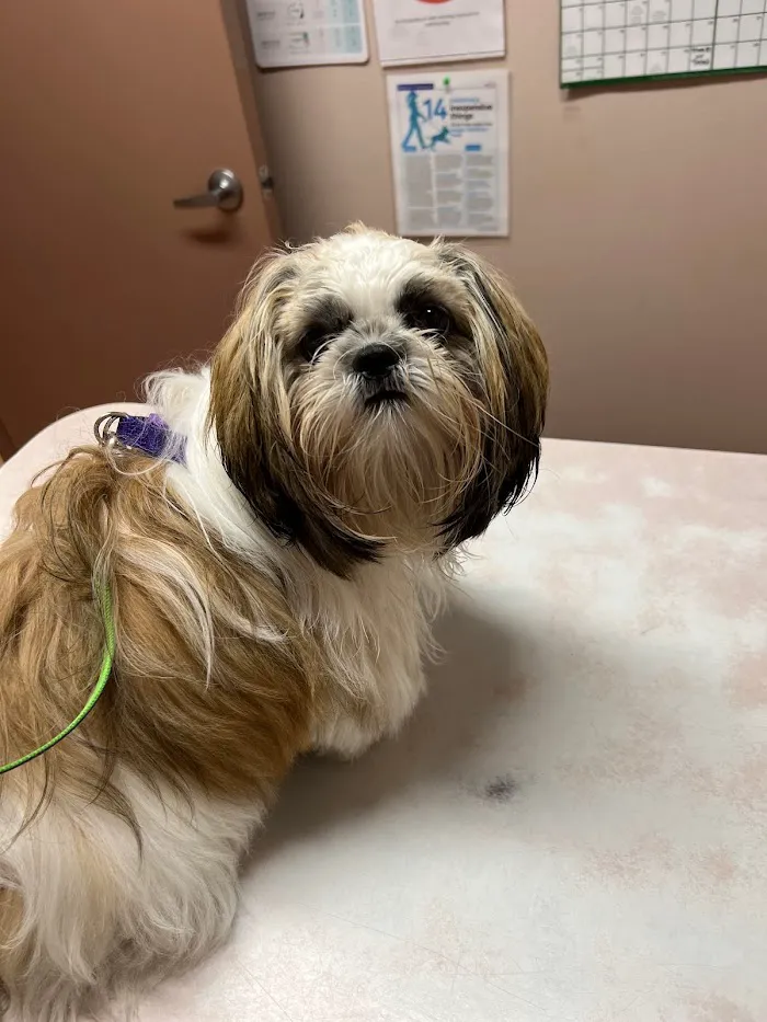 Belleview Veterinary Hospital 12