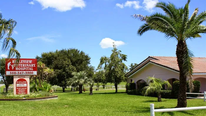 Belleview Veterinary Hospital 12