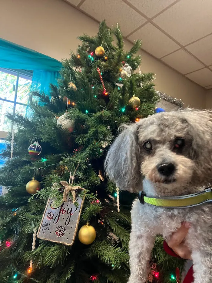 Dunnellon Animal Hospital 8