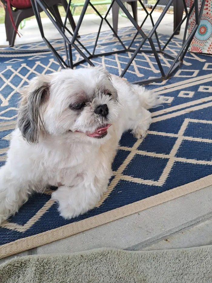 Dunnellon Animal Hospital 1