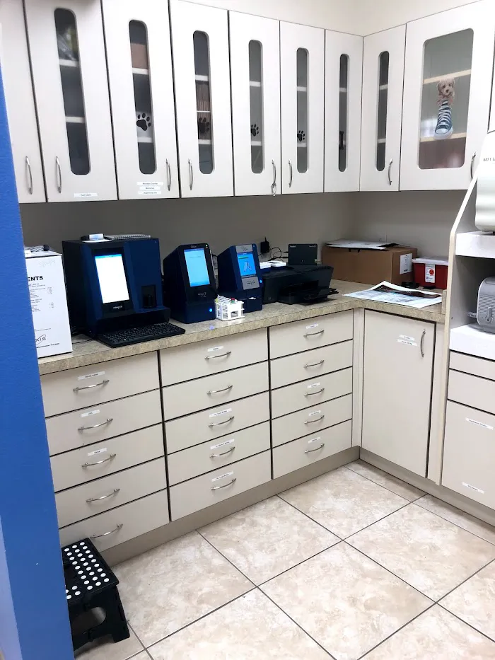 Quail Meadow Animal Hospital 12