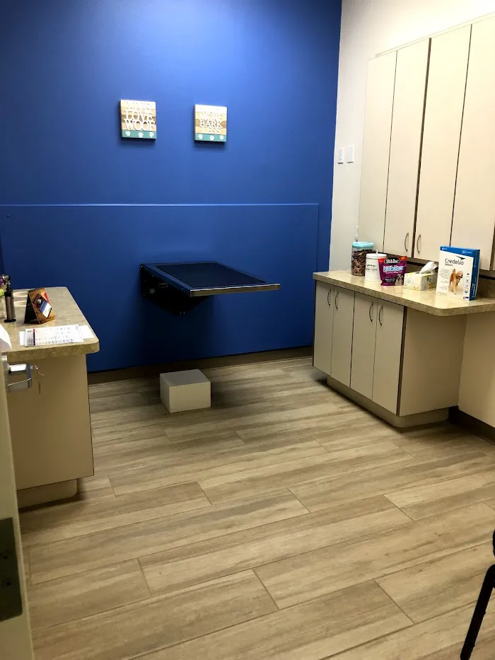 Quail Meadow Animal Hospital 12