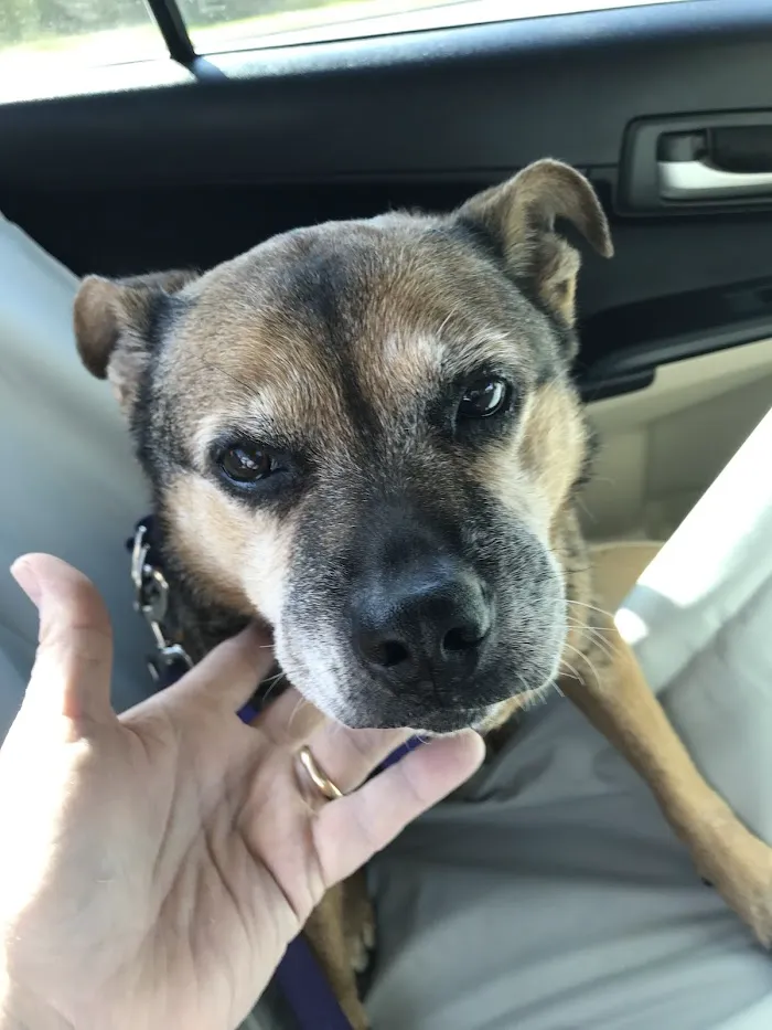 Southwest Ocala Veterinary Hospital 12