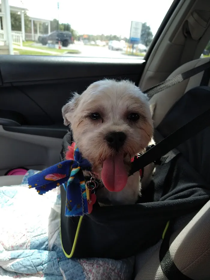 Southwest Ocala Veterinary Hospital 12