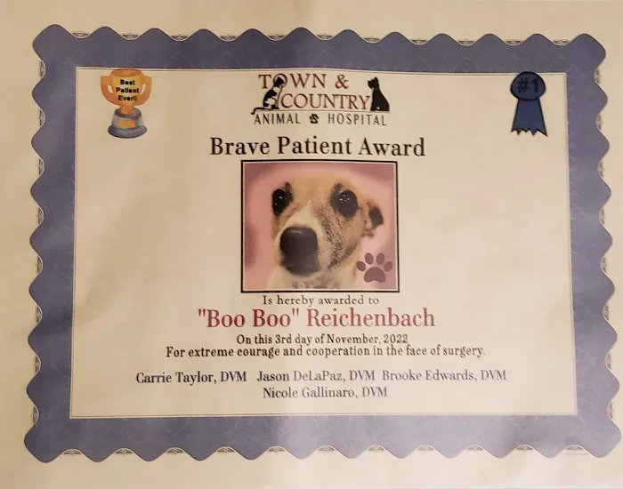 Town & Country Animal Hospital 4