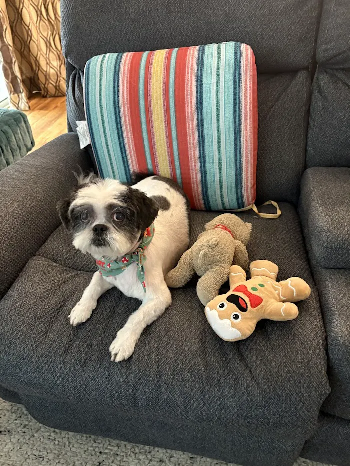 Town & Country Animal Hospital 9