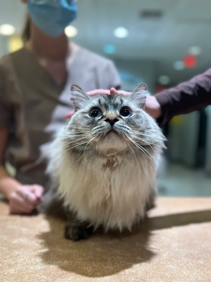 Stone Ridge Animal Hospital 12