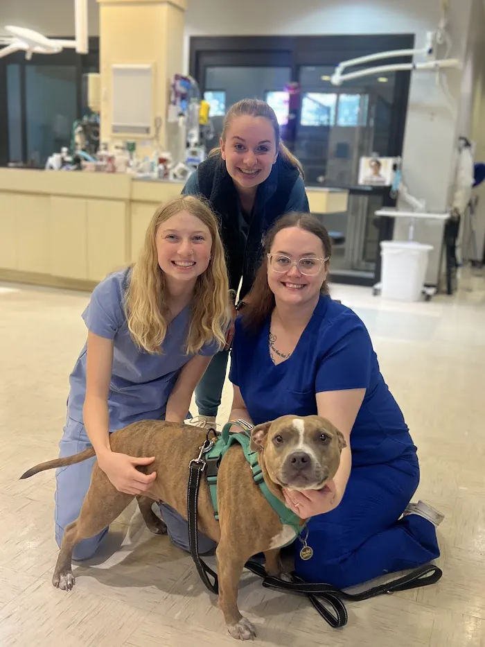 Stone Ridge Animal Hospital 12