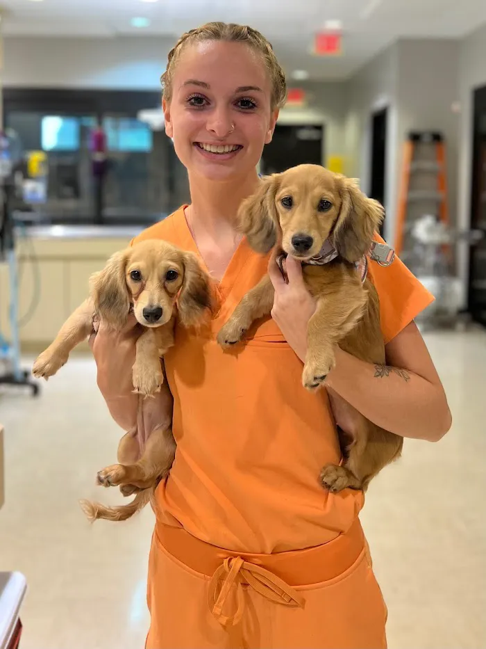 Stone Ridge Animal Hospital 12