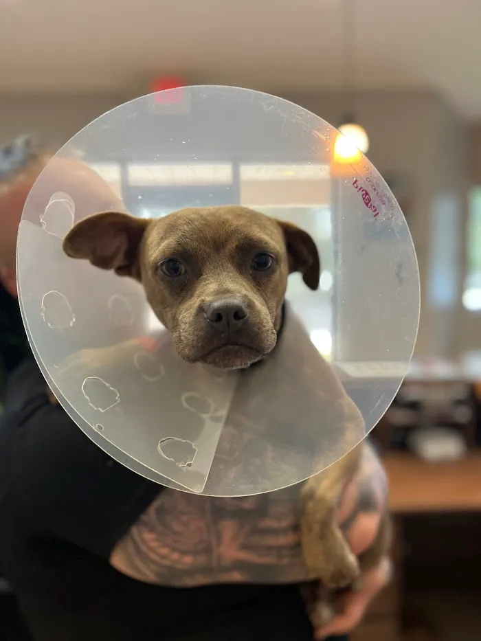 Stone Ridge Animal Hospital 12