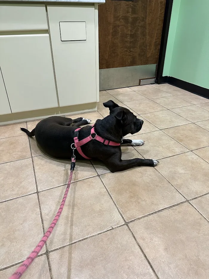 Stone Ridge Animal Hospital 12