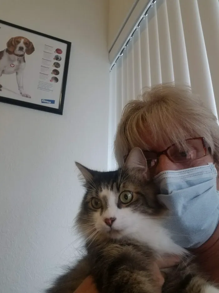 A Family Veterinarian 12