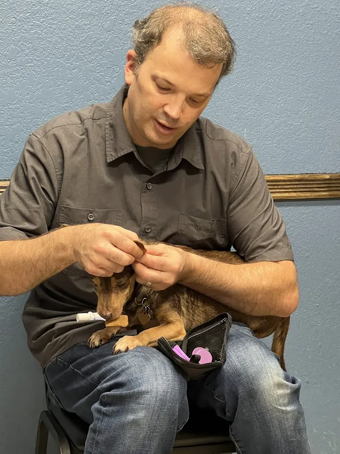 Access Veterinary Care 0