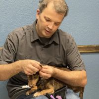 Access Veterinary Care ico