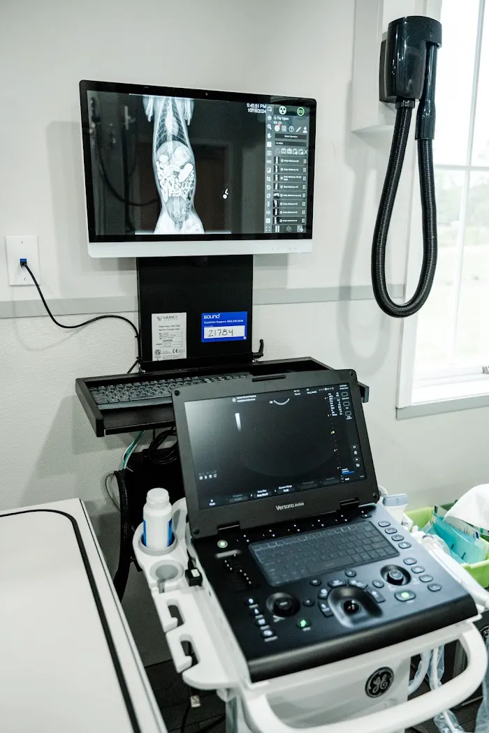 Ocala Central Veterinary Care 7