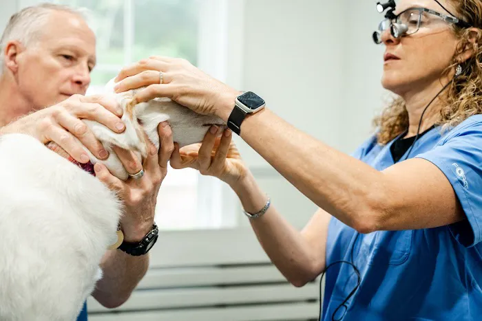 Ocala Central Veterinary Care 5