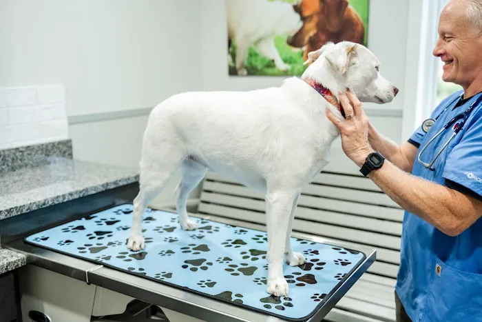 Ocala Central Veterinary Care 3