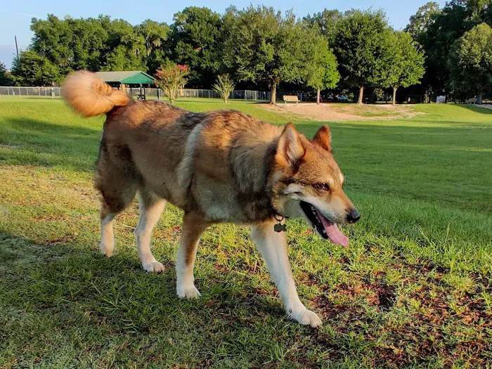 Ocala Veterinary Hospital 12
