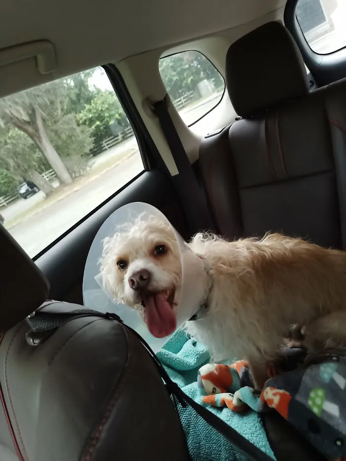 Ocala Veterinary Hospital 12