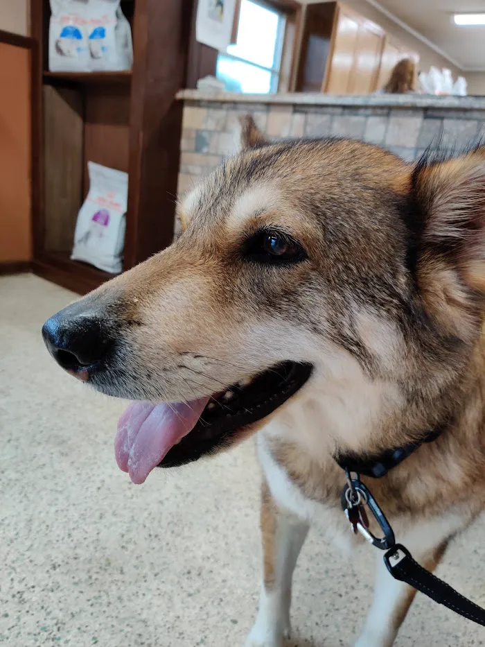 Ocala Veterinary Hospital 12