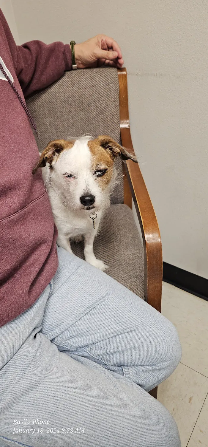 Ocala Veterinary Hospital 12