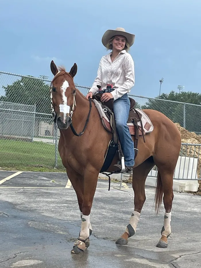 Performance Equine Veterinary Services 12