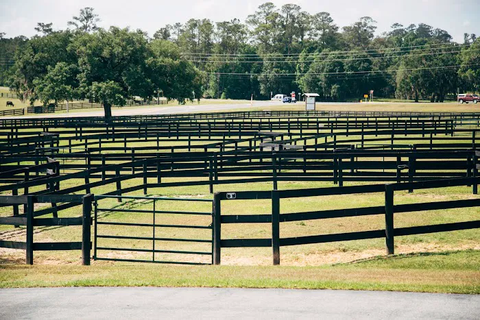 Performance Equine Veterinary Services 12
