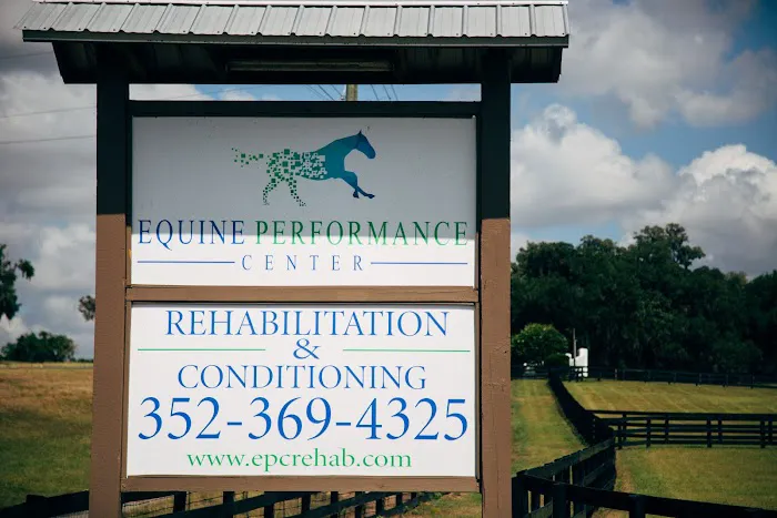 Performance Equine Veterinary Services 12