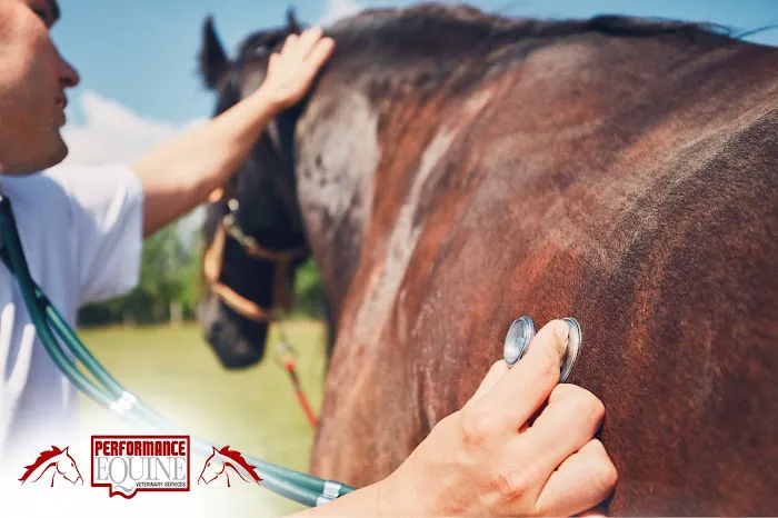 Performance Equine Veterinary Services 12