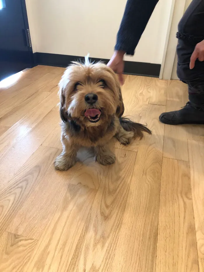 Oz Animal Hospital Rogers Park 12