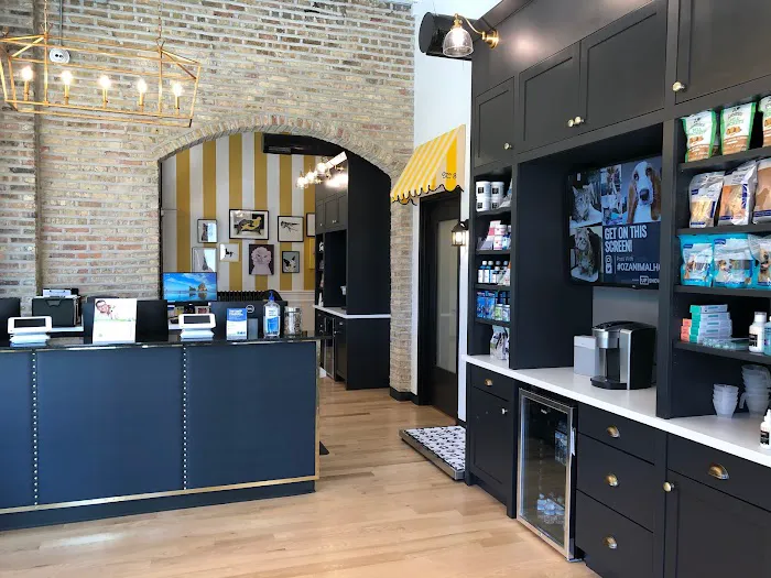 Oz Animal Hospital Rogers Park 12