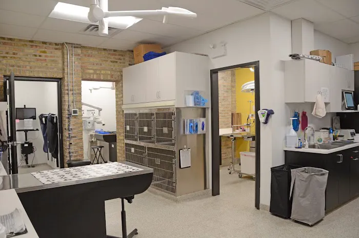 Oz Animal Hospital Rogers Park 12