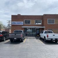 Animal Hospital of Western Springs ico