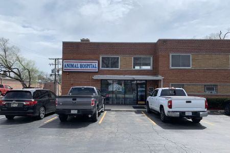 Animal Hospital of Western Springs