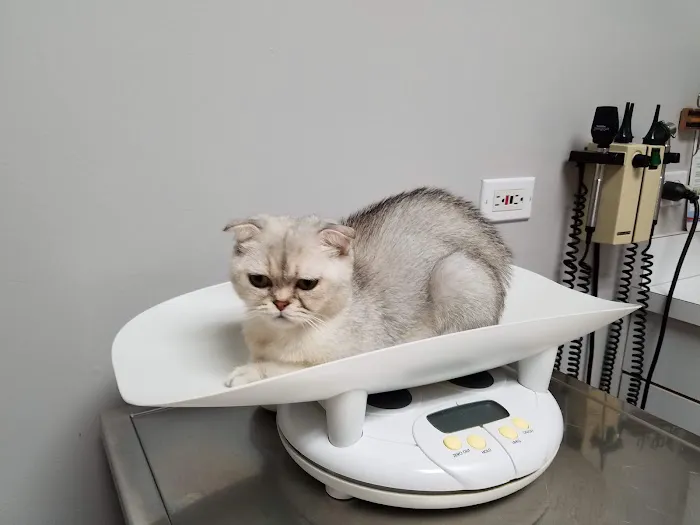 Elmwood Grove Animal Hospital 12
