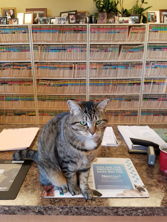 Northlake Animal Hospital 12