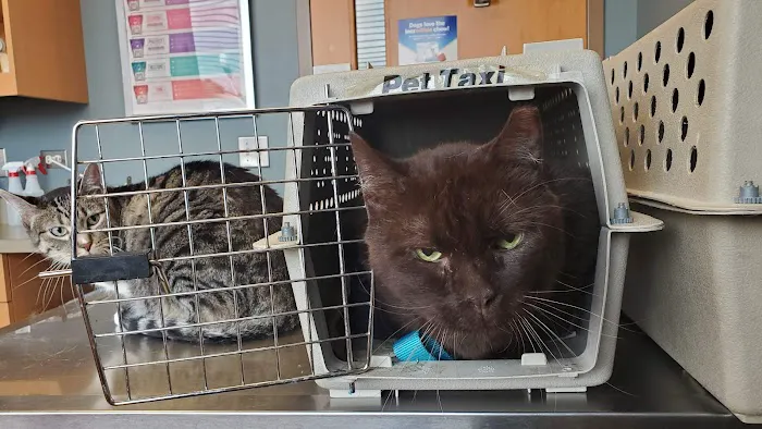 Northlake Animal Hospital 12