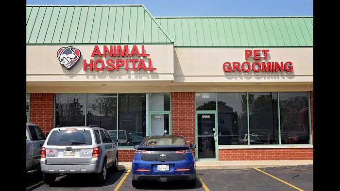 Companion Animal Hospital Oak Park 12