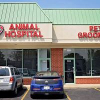 Companion Animal Hospital Oak Park ico