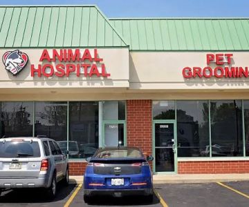 Companion Animal Hospital Oak Park