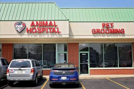 Companion Animal Hospital Oak Park