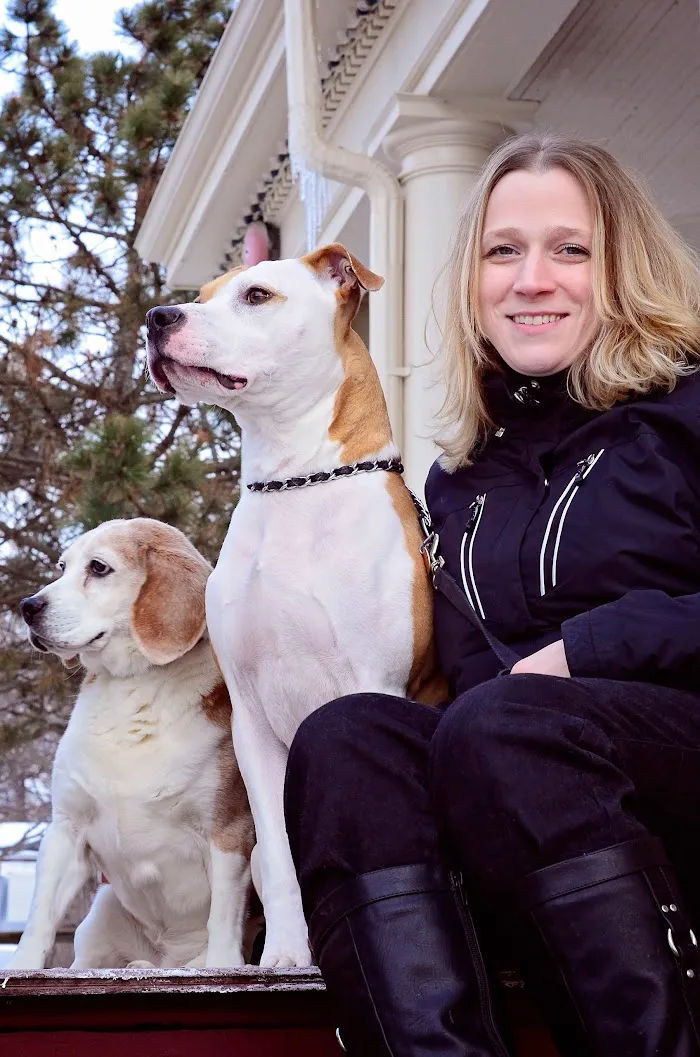 Companion Animal Hospital Oak Park 12
