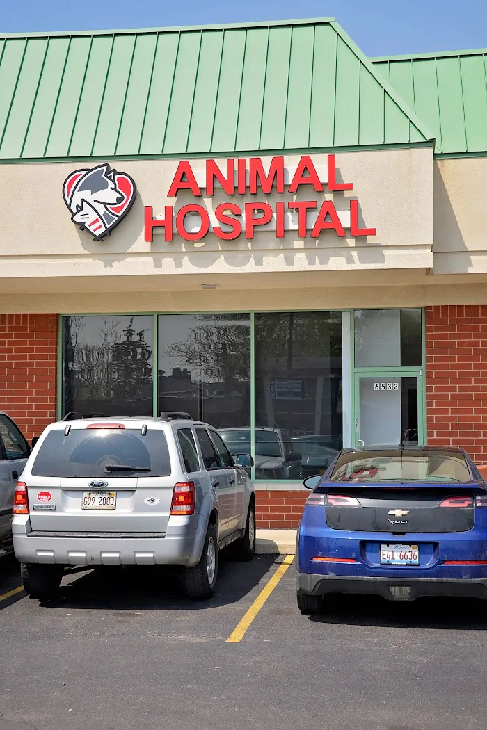 Companion Animal Hospital Oak Park 12
