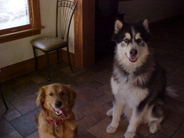 Prairie State Animal Hospital 12