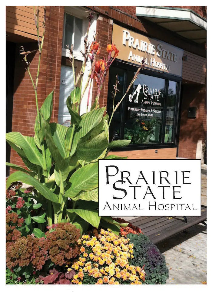 Prairie State Animal Hospital 12