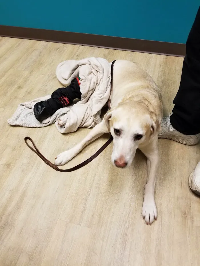VCA Boone Animal Hospital 12